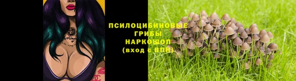 МДПВ Абдулино