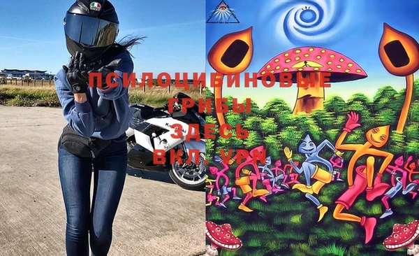 МДПВ Абдулино