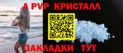 дмт Бердск