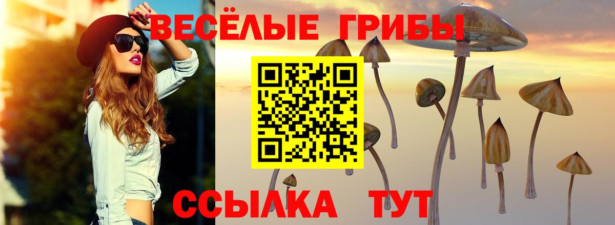 Галлюциногенные грибы Cubensis Алейск